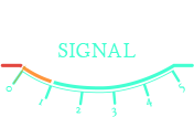 Radio signal